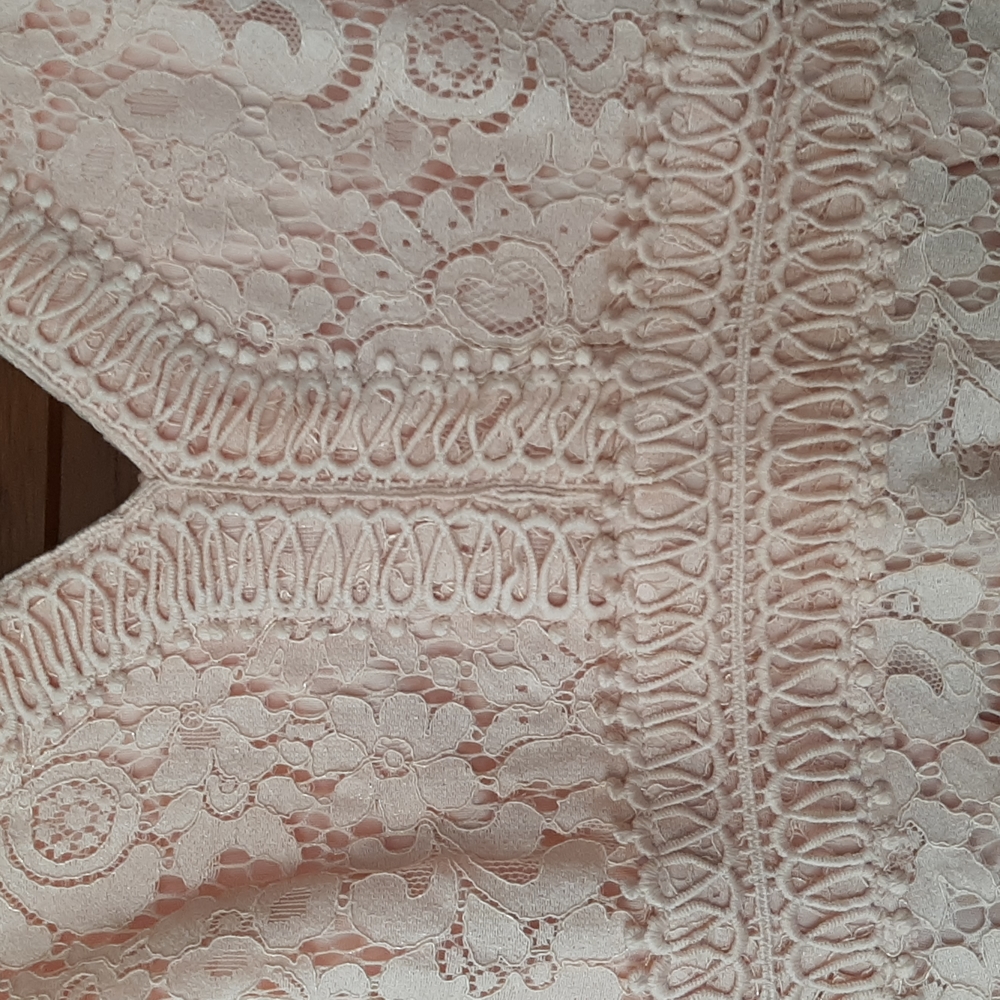 Francescas Closet Dusty Pink Lace Mini - Picture 3 of 9